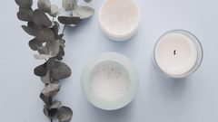 نبتة الأوكالبتوس في الحمام ما فائدتها؟