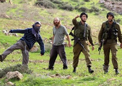 مستوطنون يعتدون على اراضي المواطنين في الأغوار الشمالية