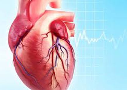 دراسة: إبتكار علاج جديد لترميم خلايا القلب التالفة
