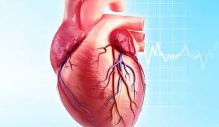 دراسة: إبتكار علاج جديد لترميم خلايا القلب التالفة