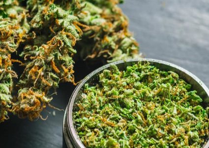 هل سمعتم عن الخِلة؟