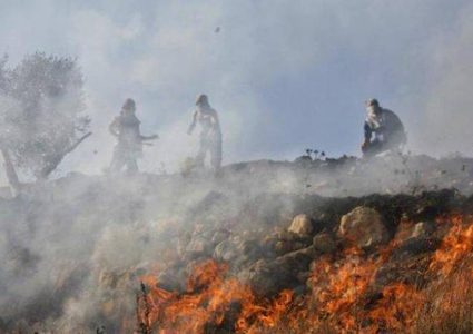 اخماد حريق طال 100 شجرة زيتون في يعبد