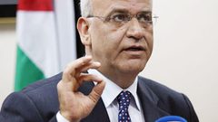 عريقات:استراتيجيتنا ترتكز على هدفين يؤكدان أن فلسطين أرض محتلة