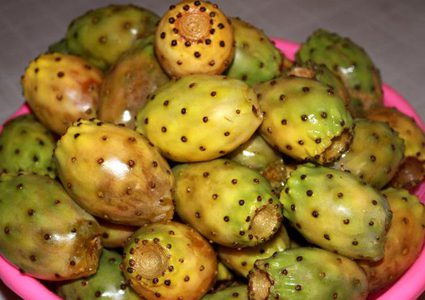 الصبر الفاكهة المحببة لأهل غزة الصابرين