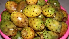 الصبر الفاكهة المحببة لأهل غزة الصابرين