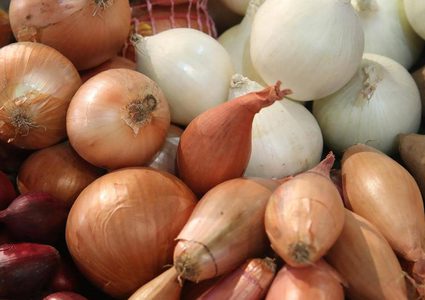 فوائد رائعة لللبصل تعرف عليها