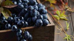 فوائد العنب الأسود