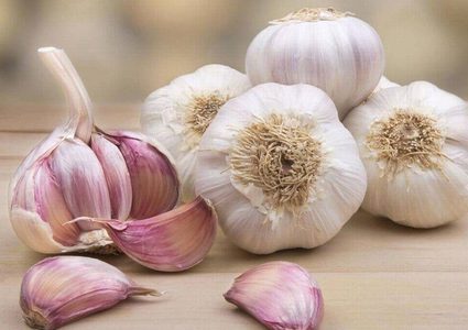 حقائق مذهلة عن الثوم