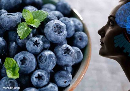 فوائد عجيبة للتوت البري