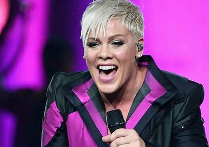 طائرة الفنانة العالمية بينك تتحطم وتحترق