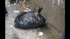 العثور على  طفل ميت داخل كيس في مخيم البريج