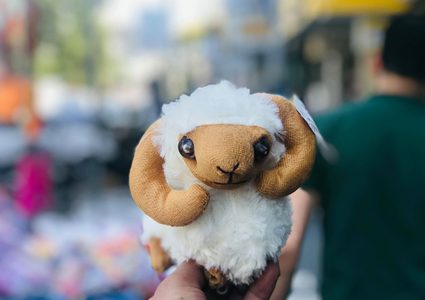 مع اقتراب العيد ..المواطنون في غزة يضحون بالدمى