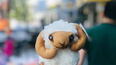 مع اقتراب العيد ..المواطنون في غزة يضحون بالدمى