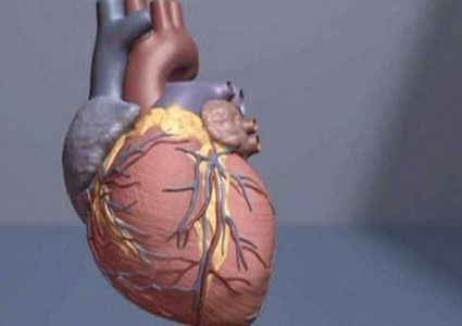 هل يمكن تجنب أمراض القلب القاتلة؟