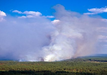 تأثير دخان حرائق الغابات على صحة الإنسان