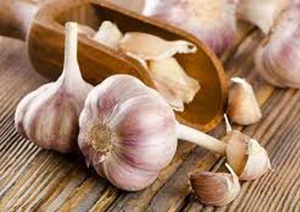 تعرفوا على الأضرار المخيفة الناتجة عن الإفراط في تناول الثوم