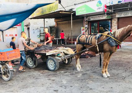 جلود الأضاحي "استثمار" ومهنة موسمية في غزة