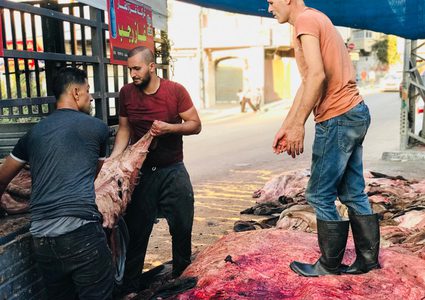 جلود الأضاحي "استثمار" ومهنة موسمية في غزة