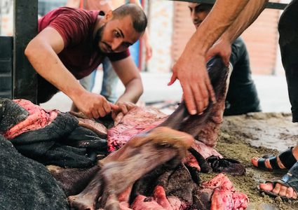 جلود الأضاحي "استثمار" ومهنة موسمية في غزة