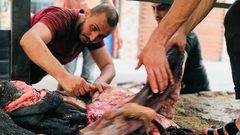 جلود الأضاحي "استثمار" ومهنة موسمية في غزة