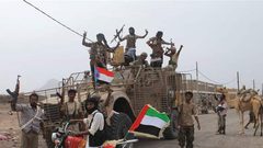 خلفان: لم نشارك باليمن لأجل الشرعية