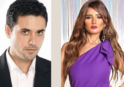 فصل جديد في القضاء بين الفنانة زينة والفنان أحمد عز