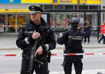"دبابير غاضبة" تساعد الشرطة الألمانية في القبض على مجرم هارب