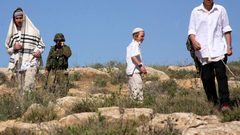 مستوطنون يداهمون حظائر للأبقار ويسيطرون عليها