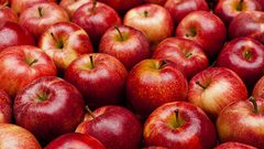 تفاحة واحدة يومياً تحميك من هذه الأمراض الخطيرة