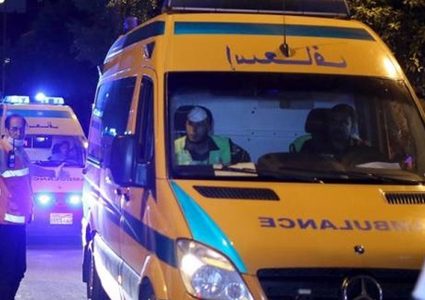 مصرع 11 مصريا في حادث سير مروع