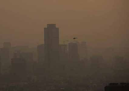 شجرة صناعية للحد من التلوث في المكسيك