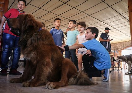 معرض للحيوانات الأليفة في مدينة غزة