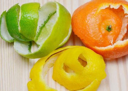 النمل في المنزل .. ما الحل؟