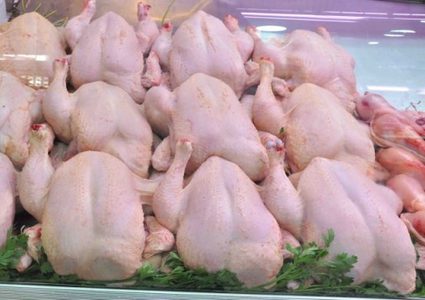 انخفاض على أسعار الدجاج في غزة