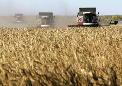 مصر: لم نرصد أي تأثير للحادث النووي على وارداتنا الزراعية