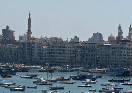 انتشار "ديدان مخيفة" على شاطئ دولة عربية