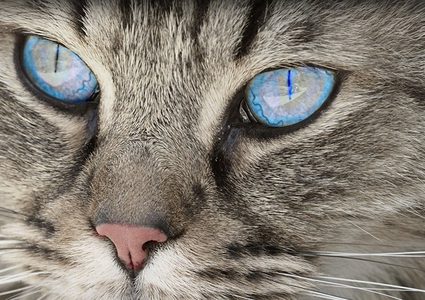 8 آلاف دولار عن كل منشور لقطة على انستغرام