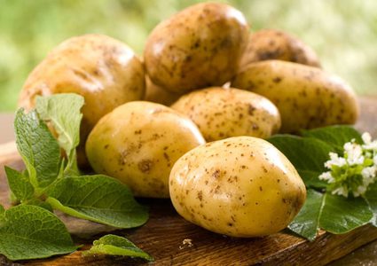 دراسة تفيد بأن البطاطس تعزز صحة القلب وتحمي العظام