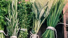 كيف تعمل الأعشاب على حل مشكلة عسر الهضم؟