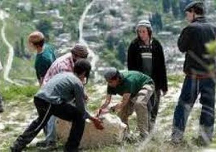 مستوطنون يزرعون الأشجار في أراضي قرية الجبعة جنوب غرب بيت لحم