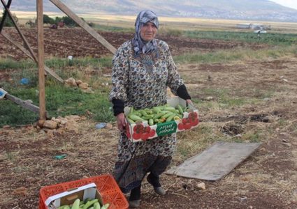 إخطارات بهدم منشآت زراعية في سهل البطوف في الداخل المحتل