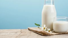 ما هو الفرق بين الحليب العضوي والحليب التقليدي ؟