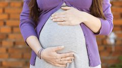 ما هو تأثير حمى الضنك على المرأة خلال الحمل ؟