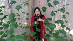 إرادة تحدت البطالة عبر انشائها مشروع الزراعة المائية في غزة