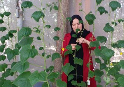 إرادة تحدت البطالة عبر انشائها مشروع الزراعة المائية في غزة