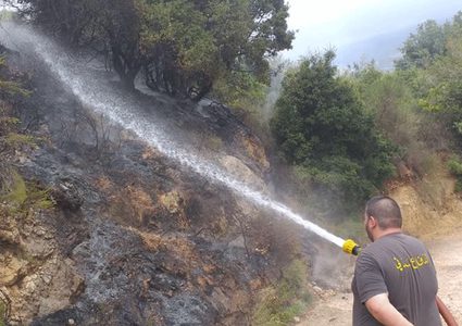 احتراق 150 شجرة زيتون غرب جنين