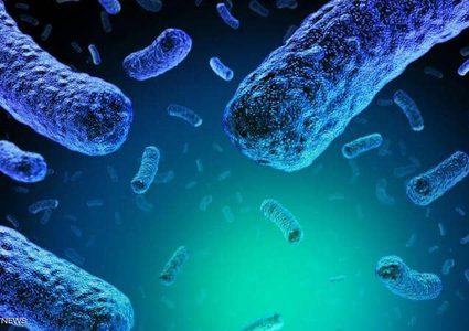 ارتفاع حالات الليستيريا في اسبانيا