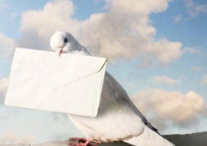 الحمام الزاجل هو الوسيلة الأفضل لإيصال الرسائل للثقوب السوداء