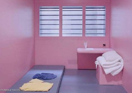 سويسرا تختار اللون الوردي لطلاء السجون للحد من العنف