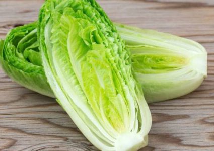 لماذا ينصح الخبراء بتناول الخس بعد سن الأربعين ؟